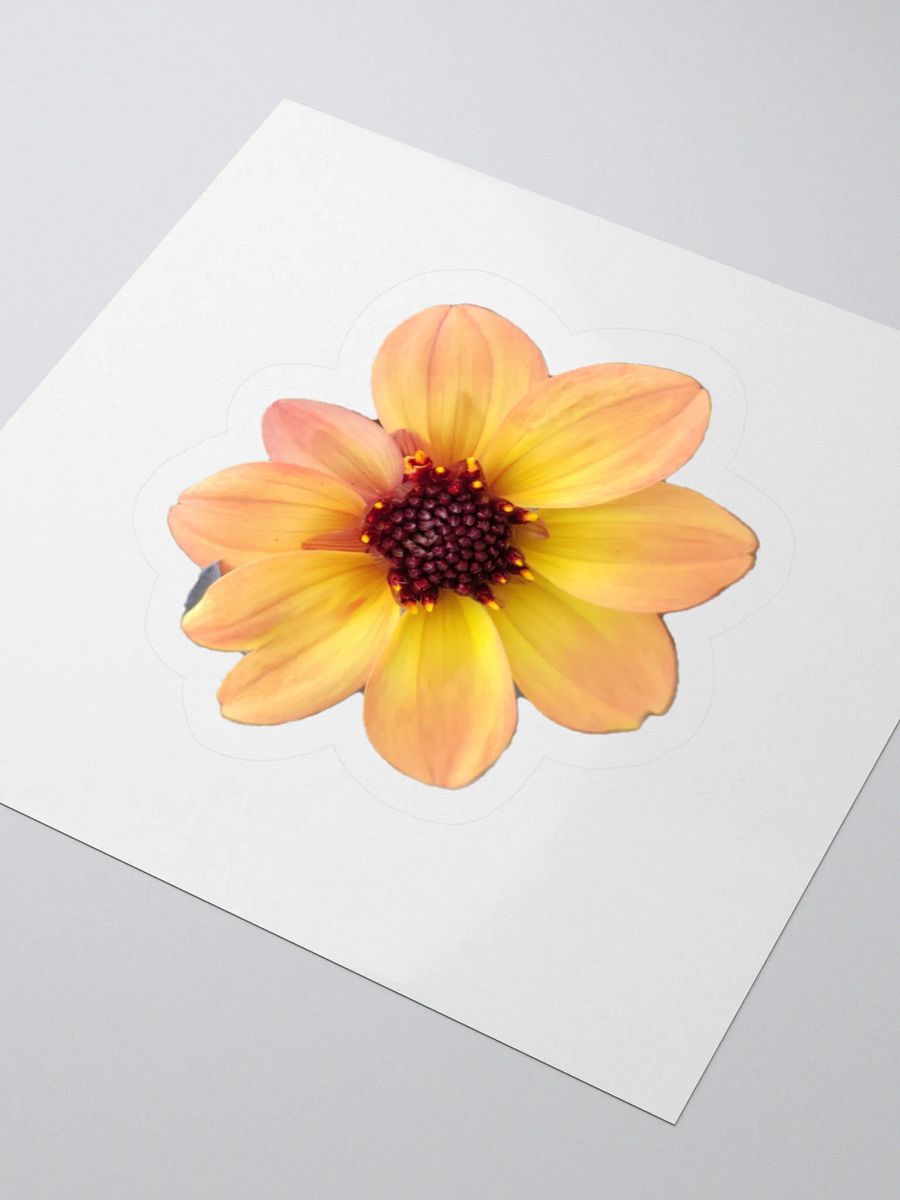 Flower Stickers v3 product image (3)