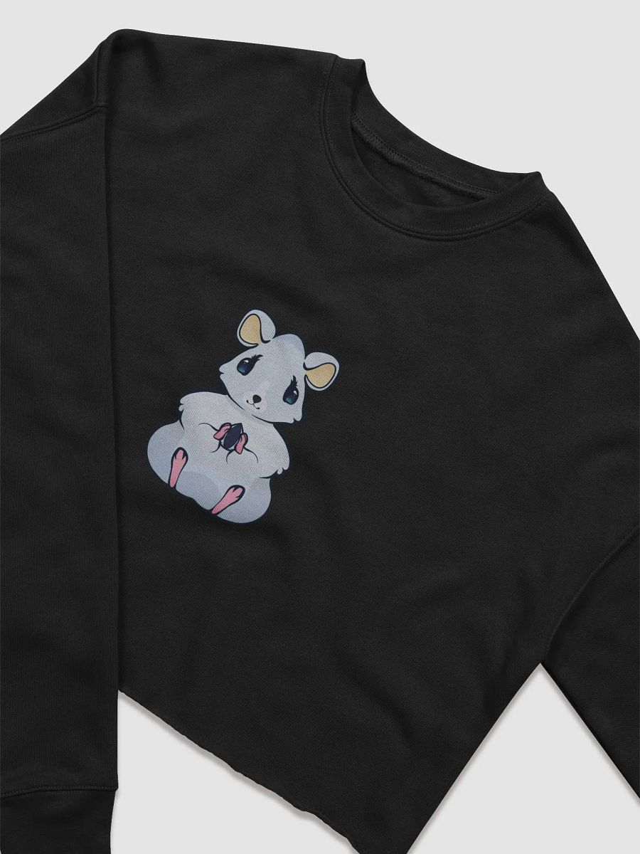 Hamster Holding A Seed Crop Top Sweat Shirt product image (3)