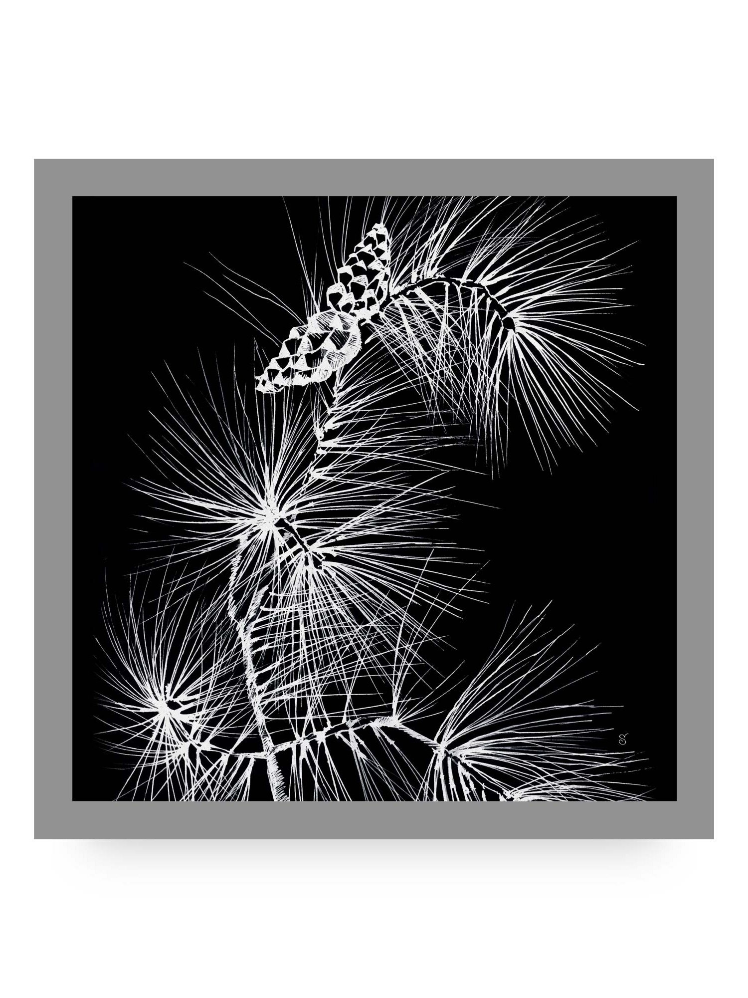 Visionary Canvas Collection - Stylish Pine Branch and Cones product image (132)