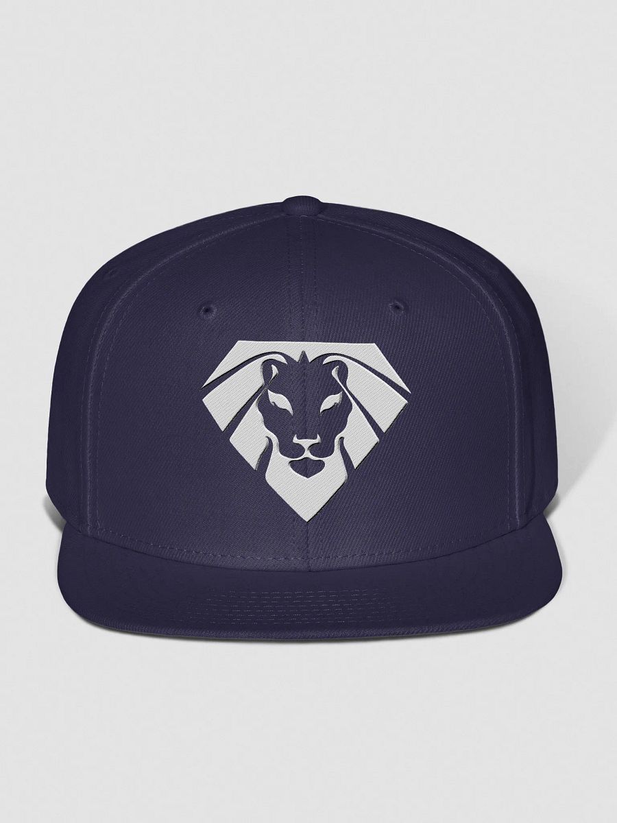 VIP Space Lion Snapback product image (8)