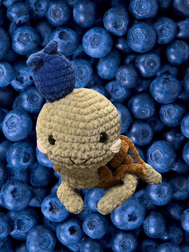 Blueberry Pie Turtle product image (1)