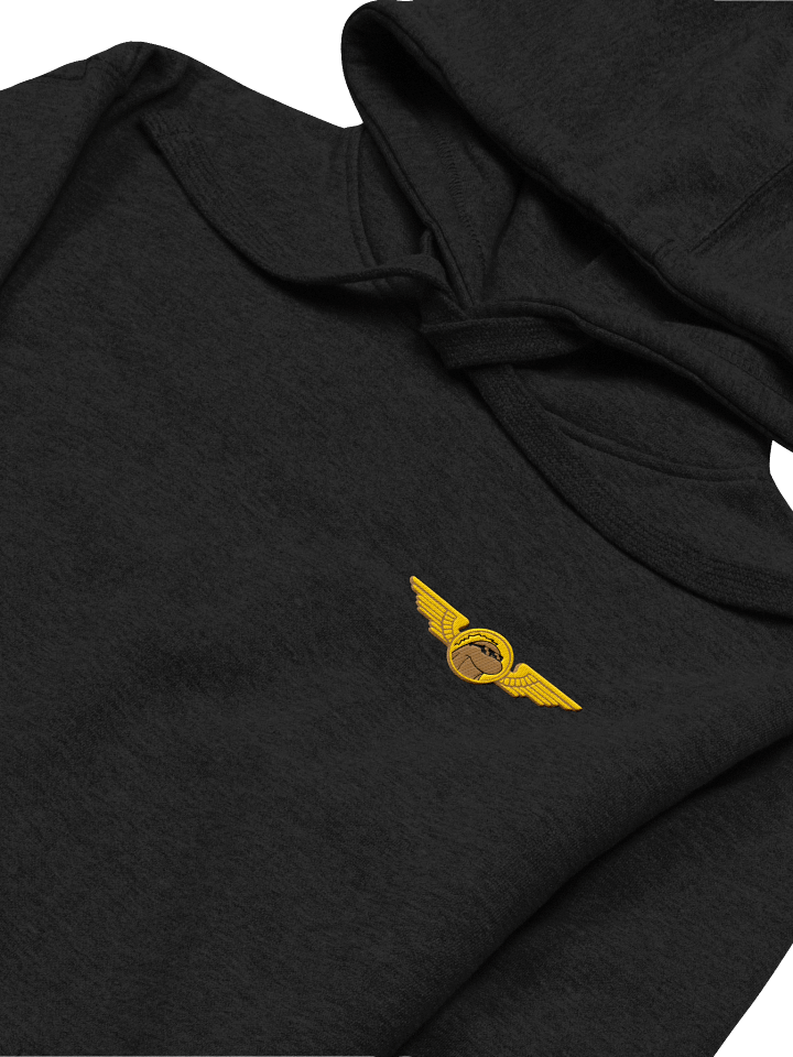 Embroidered Hoodie product image (2)