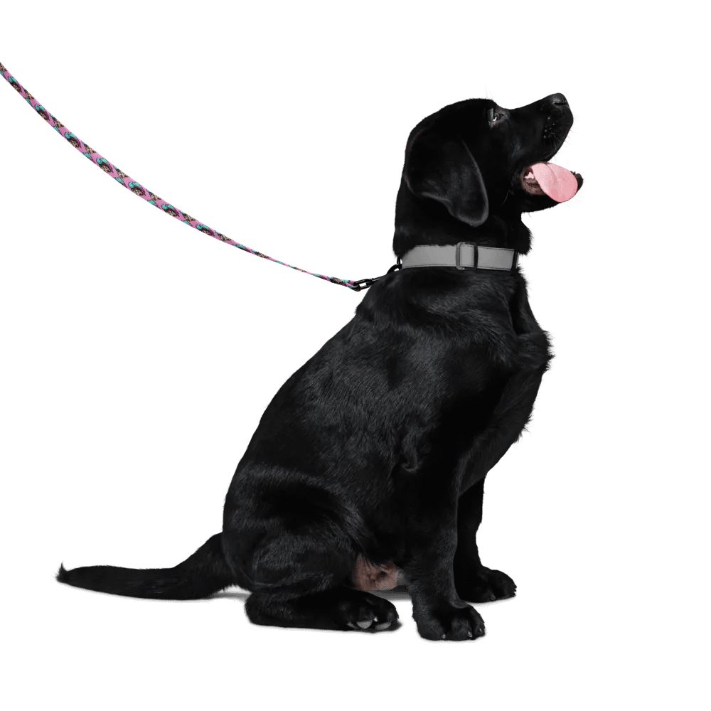 Augustus Monke Leash product image (4)