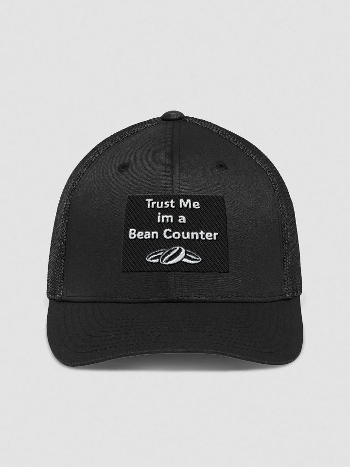 Beancounter Cap product image (1)
