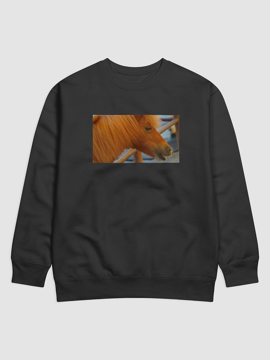 Majestic Mane Premium Sweatshirt product image (1)
