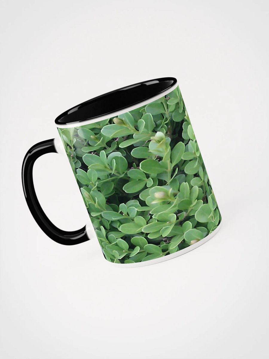"Green Leaf" Colorized Mug product image (3)