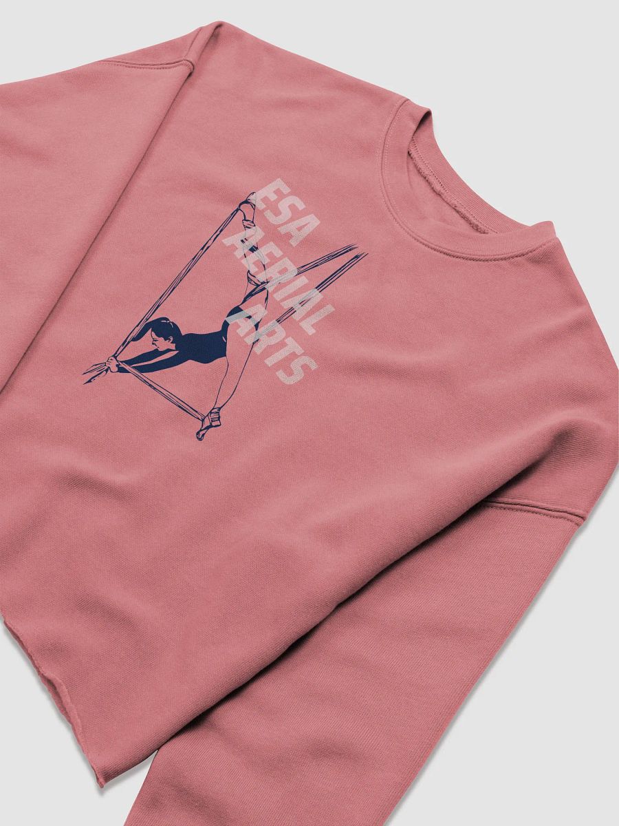 ESA Aerial Silhouette Women's Crop Sweatshirt product image (5)