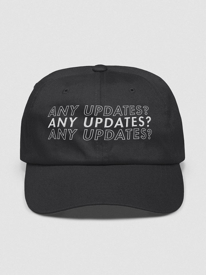 Any Updates? - Hat product image (4)