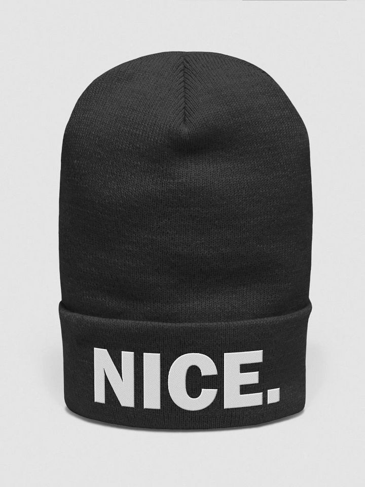 Nice. // Beanie product image (4)