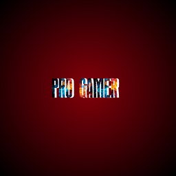 Pro Gamer