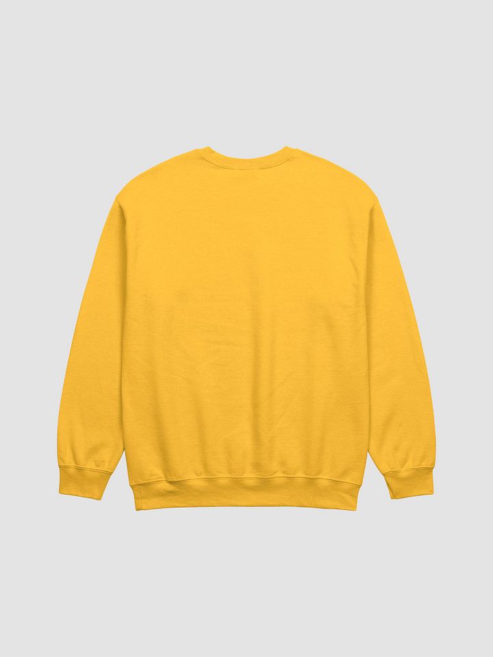 froggy ttv sweatshirt product image (10)