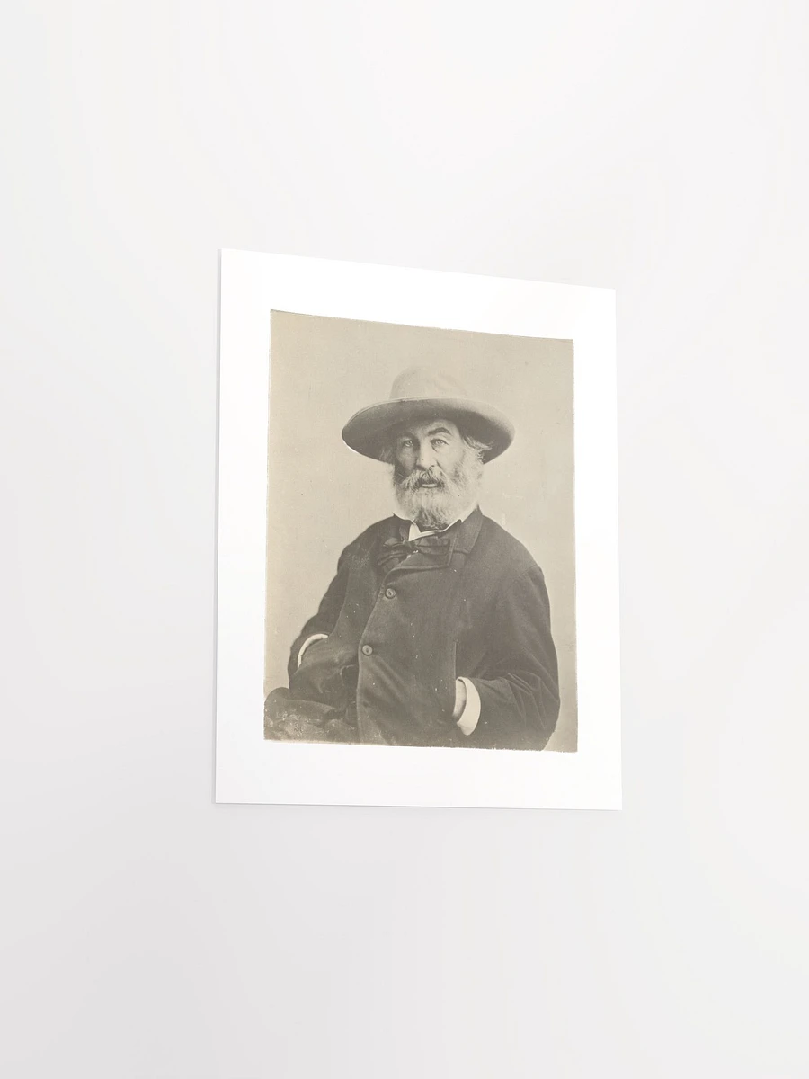 Walt Whitman by Mathew Brady? (c. 1870) - Print product image (9)