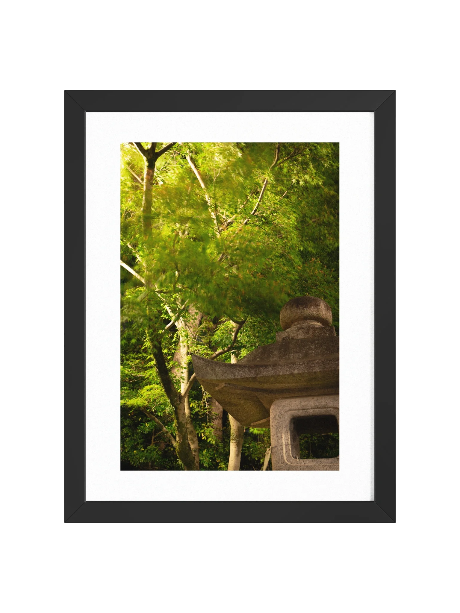 Kyoto Flowing Maple with ishidōrō product image (1)