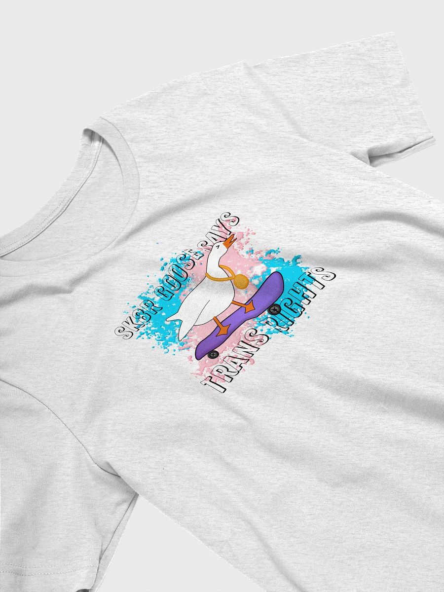 Sk8r Goose Says Trans Rights product image (29)