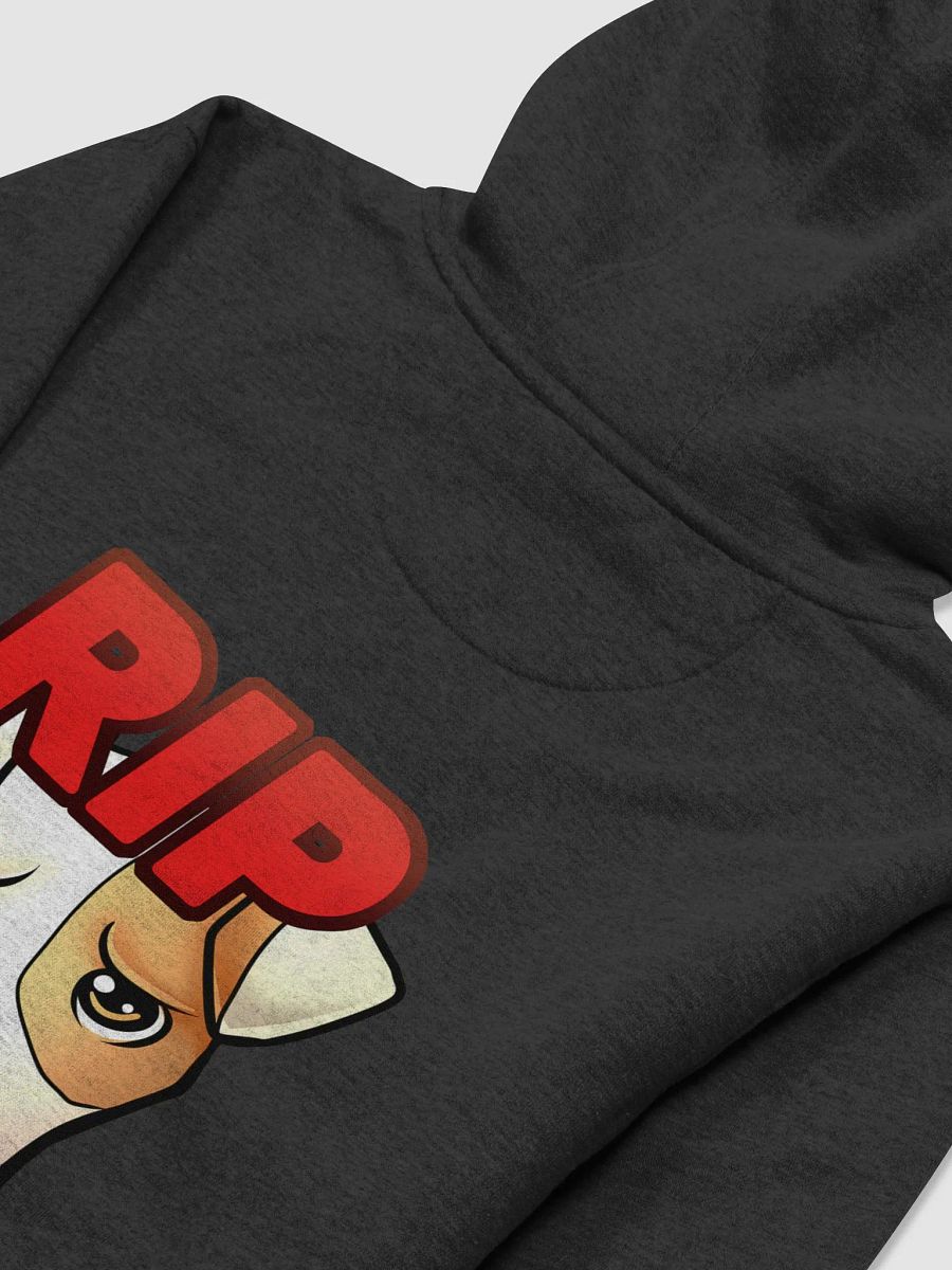 RIP Pullover Hoodie product image (4)