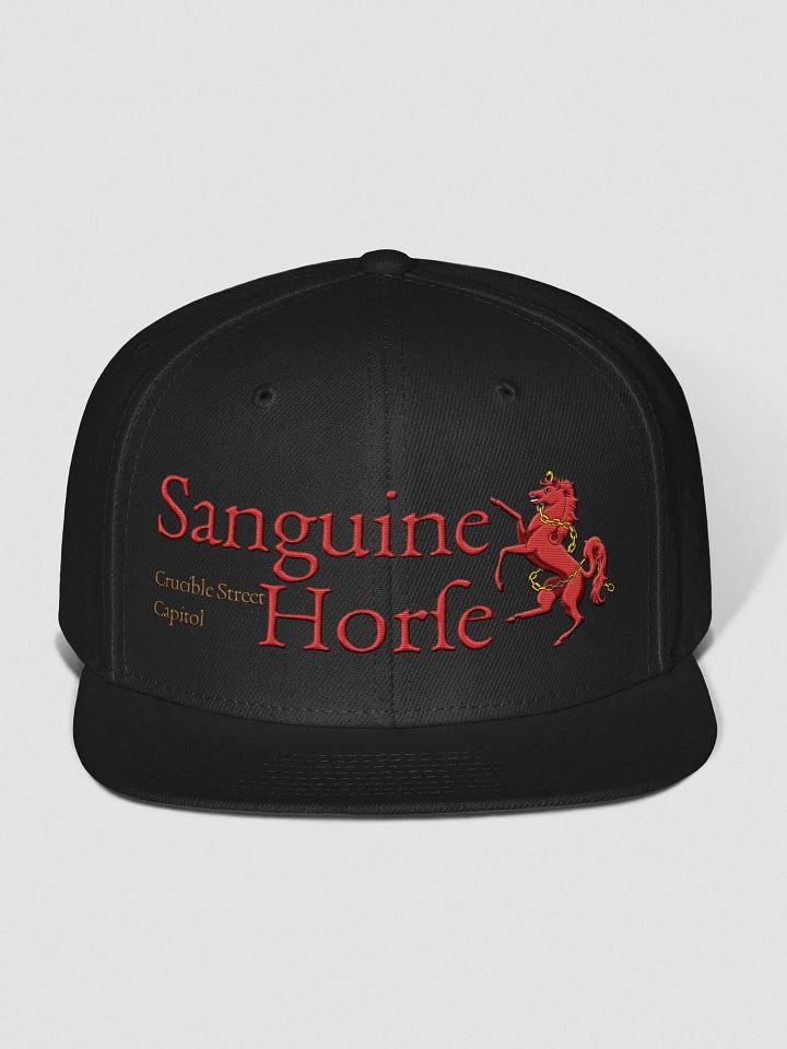 Sanguine Horse Logo snapback cap (gold address) product image (1)