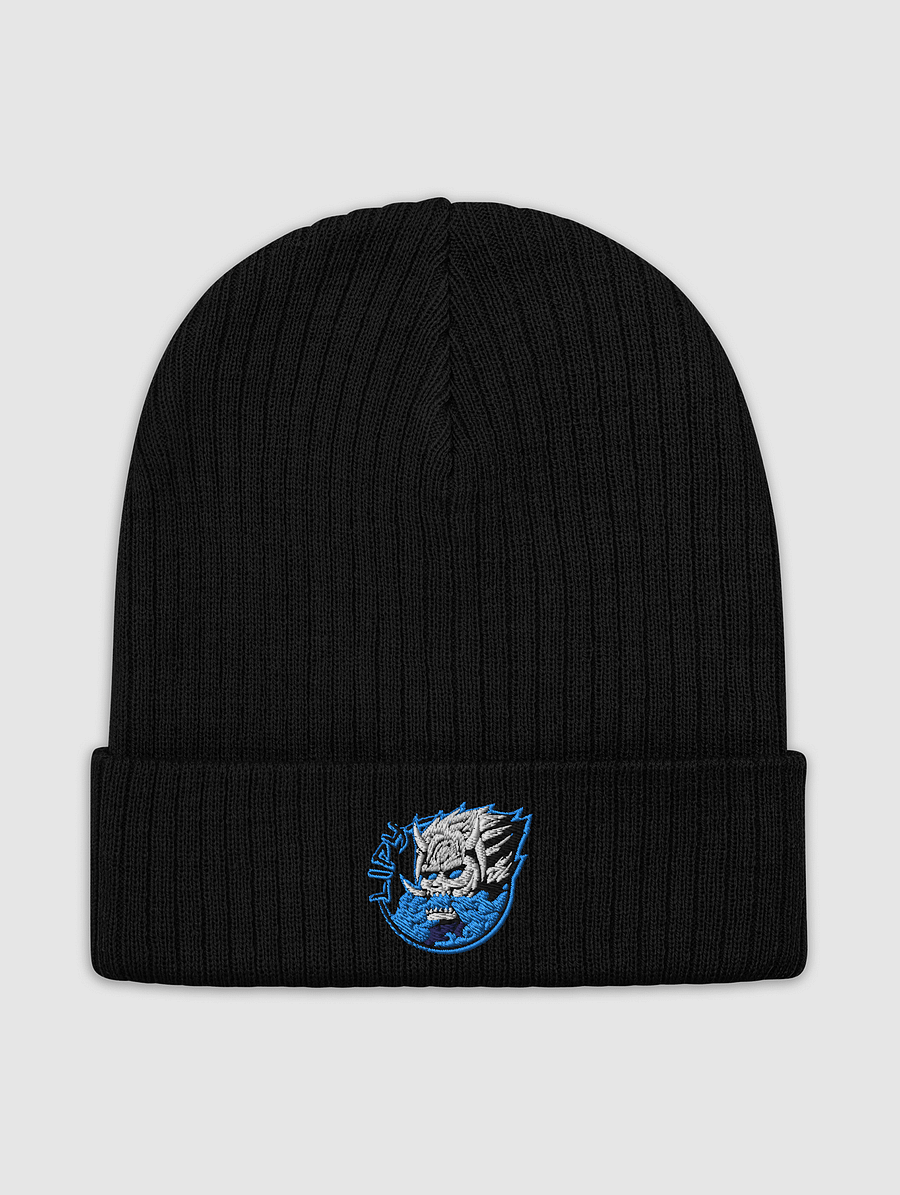 Ribbed knit beanie 3 product image (1)