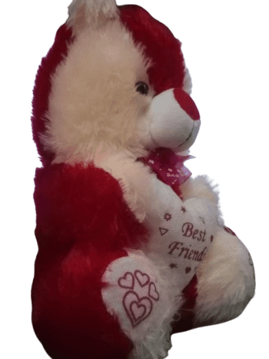 Small Taddy Bear product image (4)