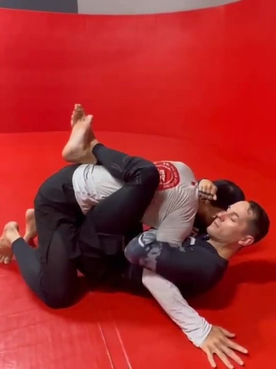 FREE!! White Belt Survival Guide!! product image (3)