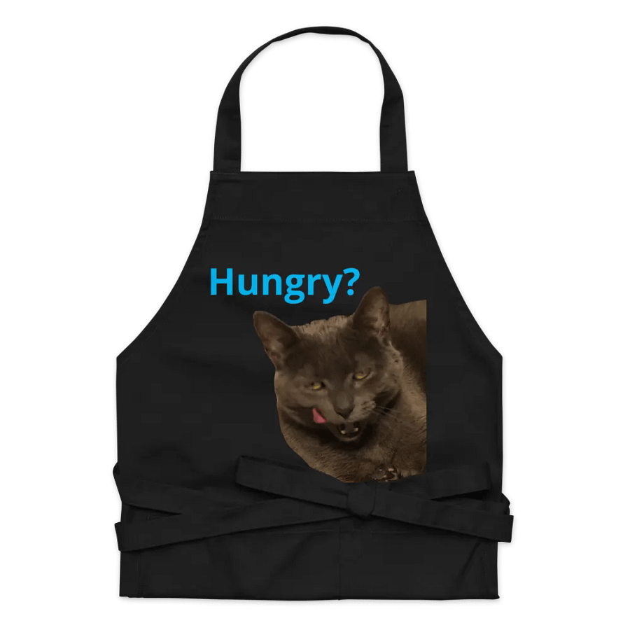 Sansa Kitty 
