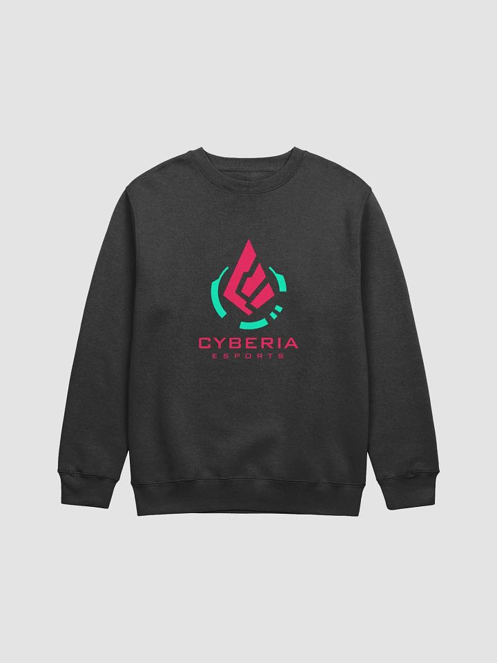 Cybermium Crewneck Sweatshirt product image (2)