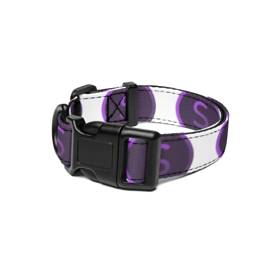 Selenite Collar product image (1)