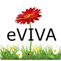 eVIVA