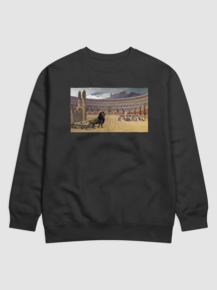 Martyr Sweater product image (1)