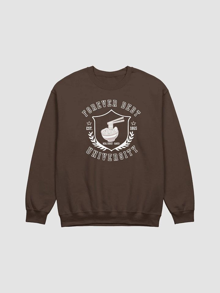 Forever Debt University - Ramen Budget Sweatshirt product image (3)