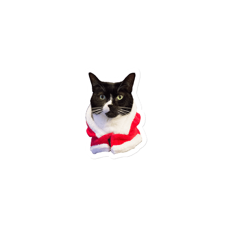 Onyx Santa Magnet product image (1)
