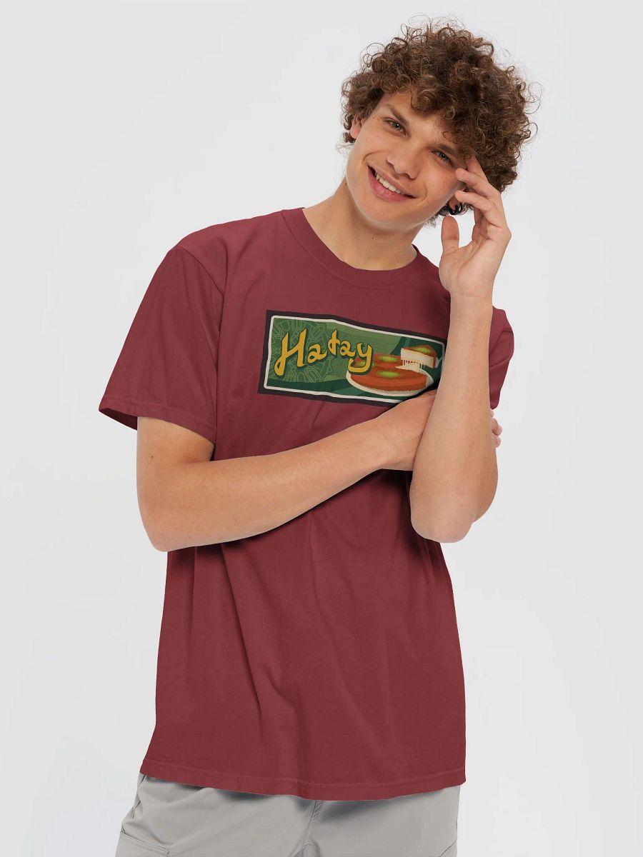 Hatay City Tshirt- Traditional Turkish Cuisine Art product image (43)
