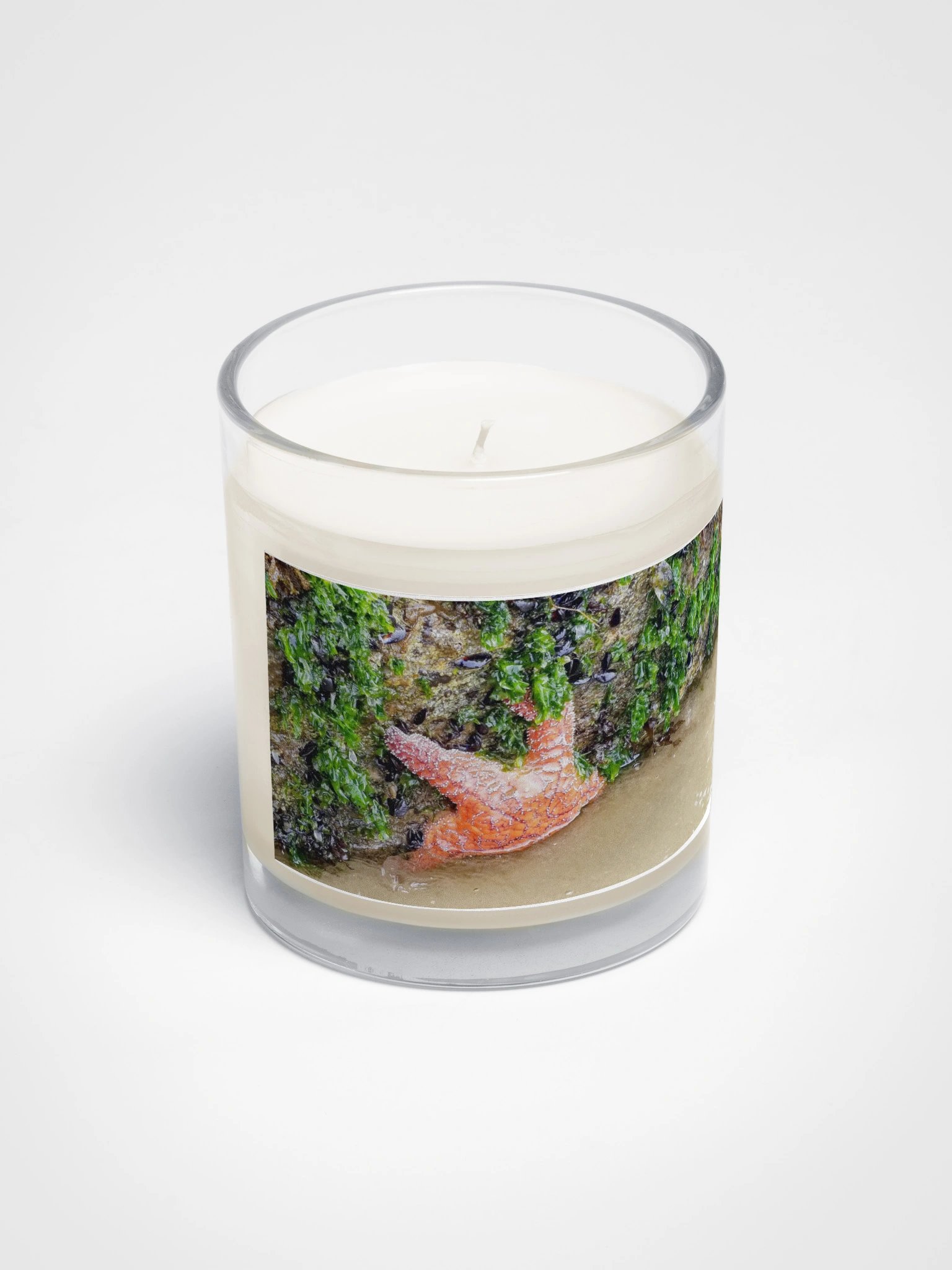 Starfish Soy Candle product image (2)