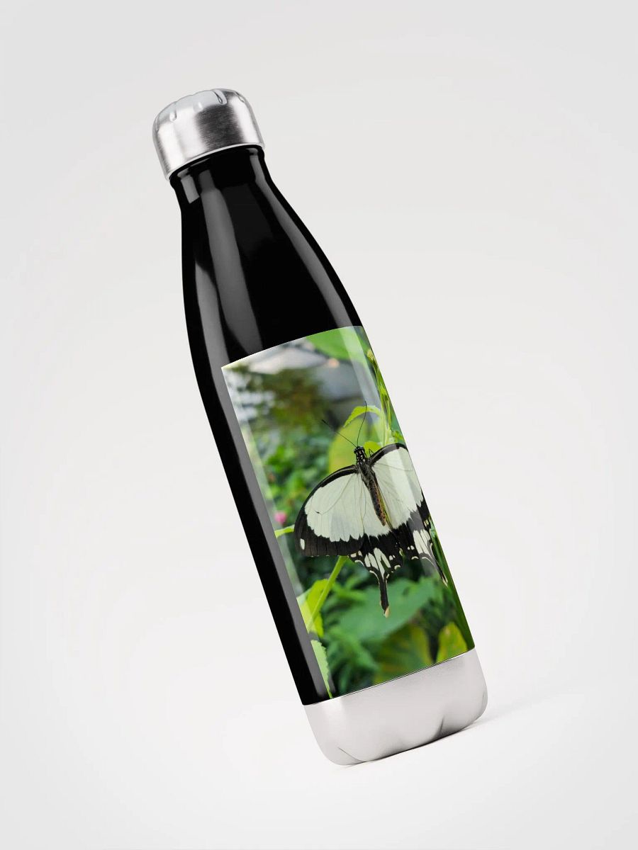 Mocker Swallowtail Tropical Butterfly Stainless Steel Water Bottle product image (4)