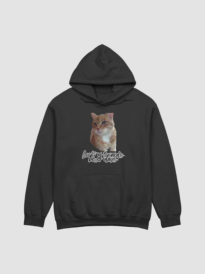 Better Days Ahead Hoodie product image (3)