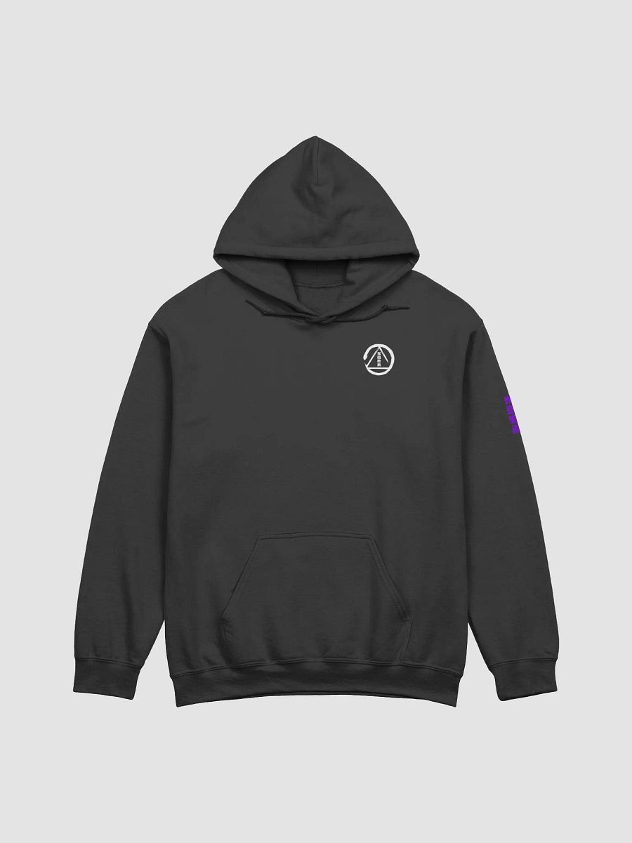 [Black/Purple] Disciples of the Witness Hoodie product image (1)
