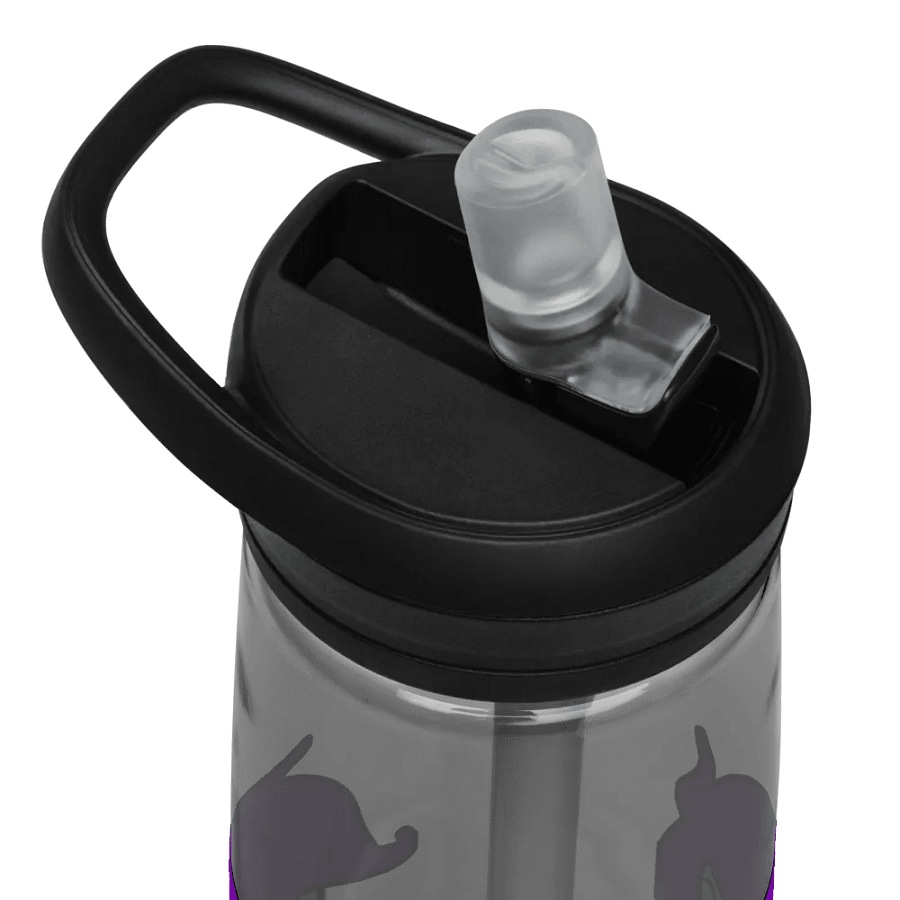 Enigma Nation CamelBak Eddy®+ Sports Water Bottle product image (8)