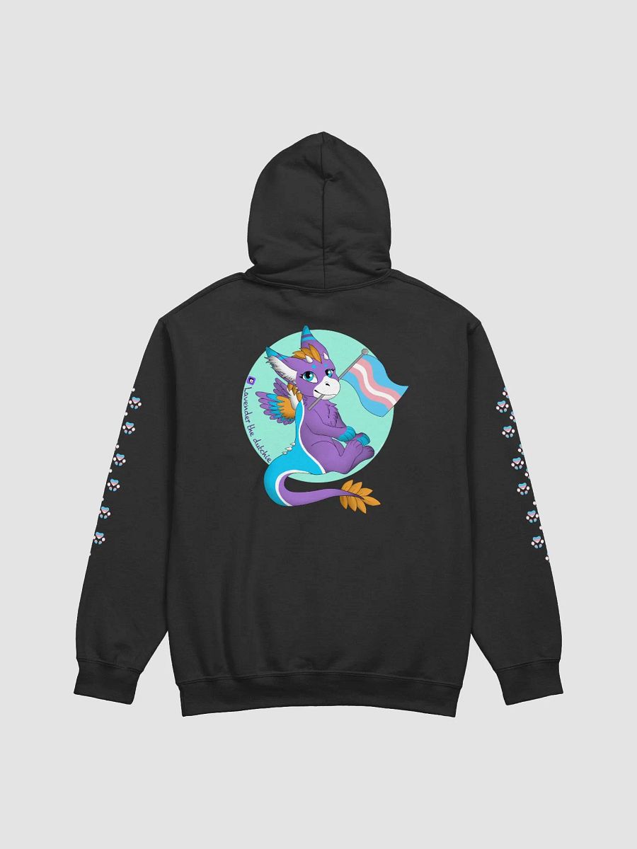 Pride Month-Trans Gender Pullover Hoodie product image (21)