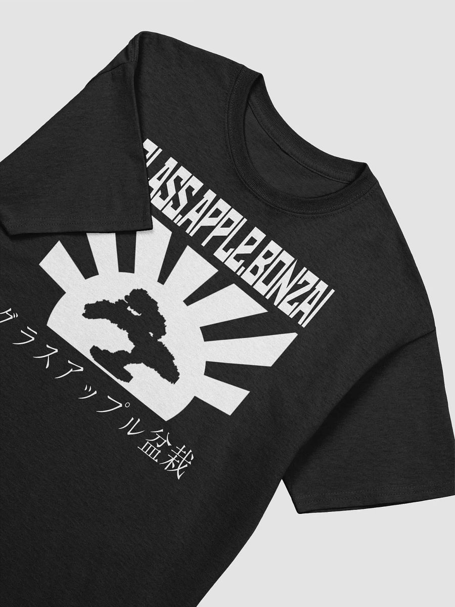Japanese Sunrise T-Shirt product image (3)