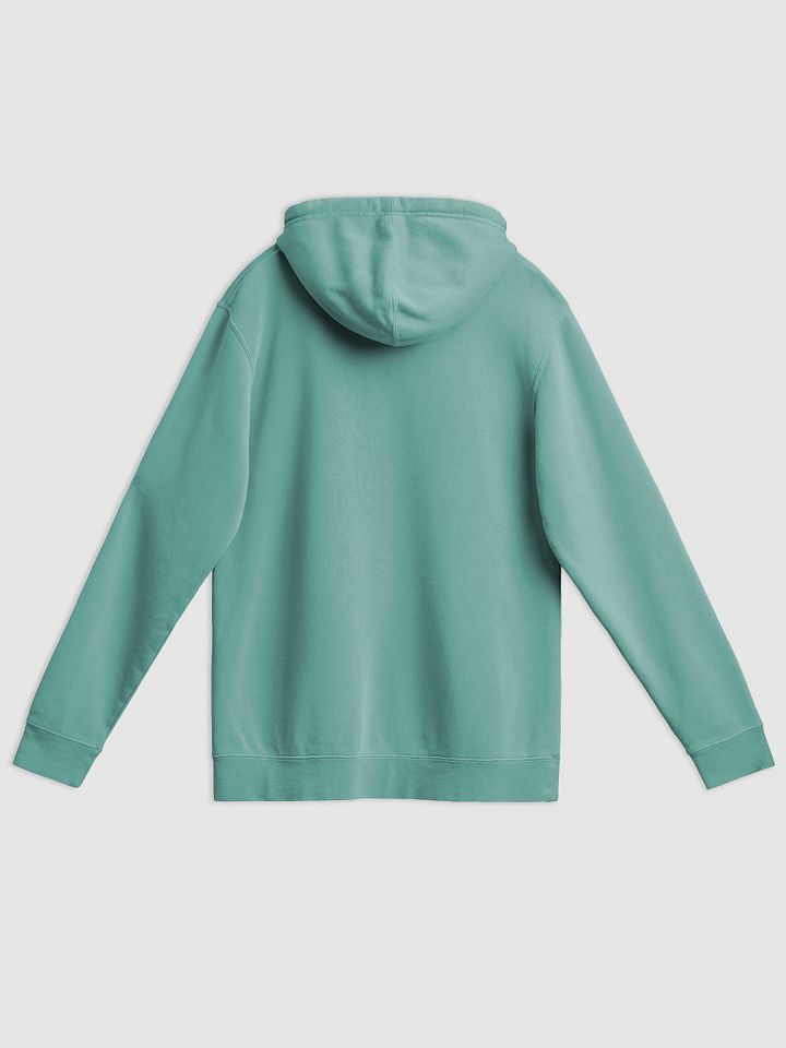 FFS, I'm autistic. (sm. design) printed pigment hoodie product image (2)