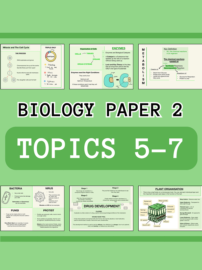 AQA GCSE Biology Paper 2 Revision Notes (25 Pages) | Revision Made Easy