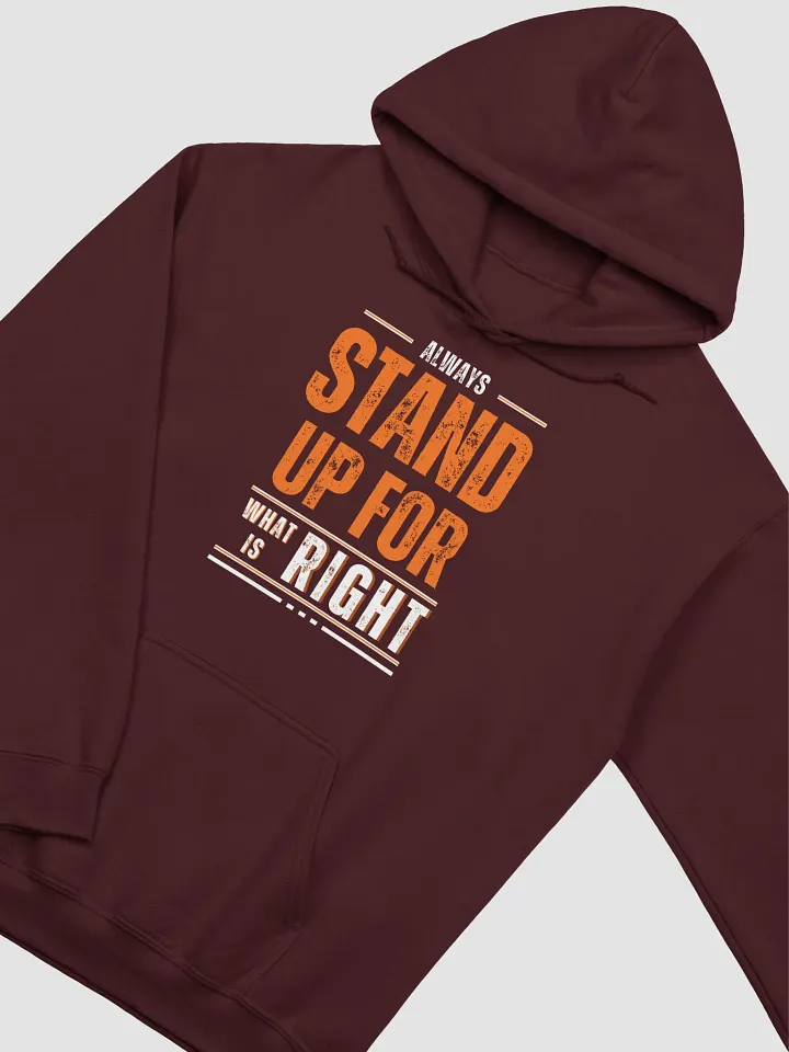 Always Stand Up For What Is Right product image (17)