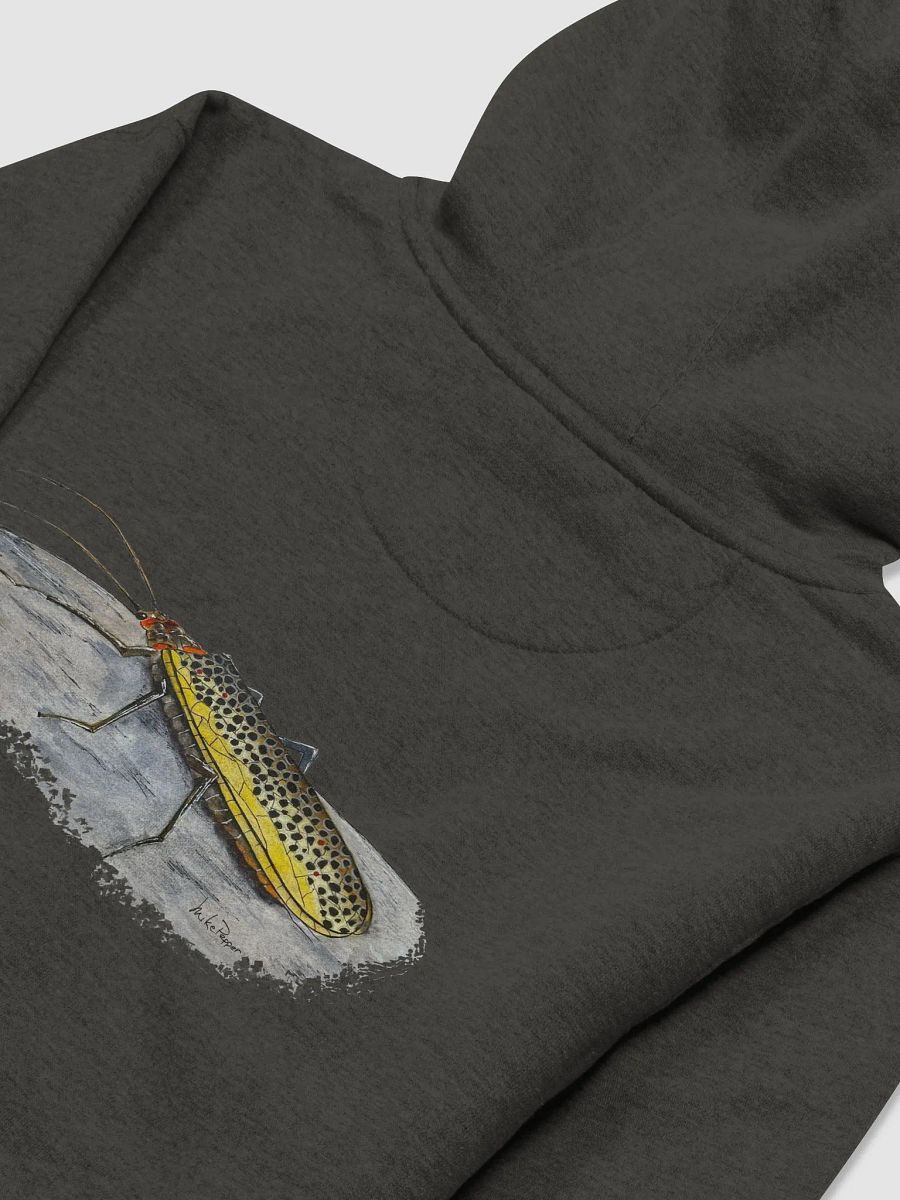 Brown Trout Stonefly Hoodie product image (3)