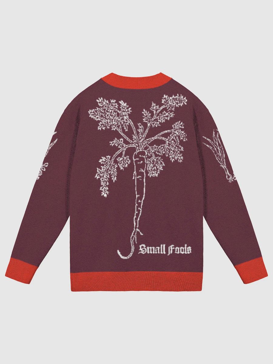 16th Century Herbology Treatise Cardigan - Wine product image (2)