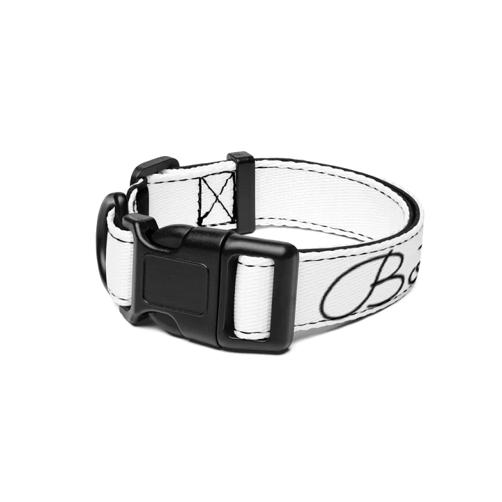 Bot Collar product image (1)