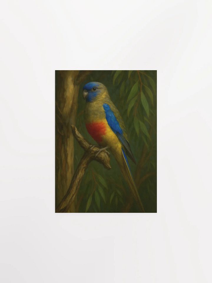 Blue Bonnet Parrot. product image (3)