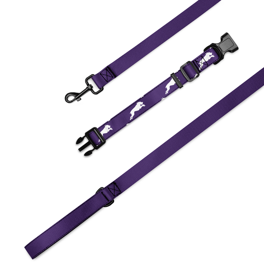 Purple Haze Leash & Collar product image (1)