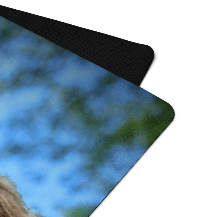 Maple Yoga product image (2)
