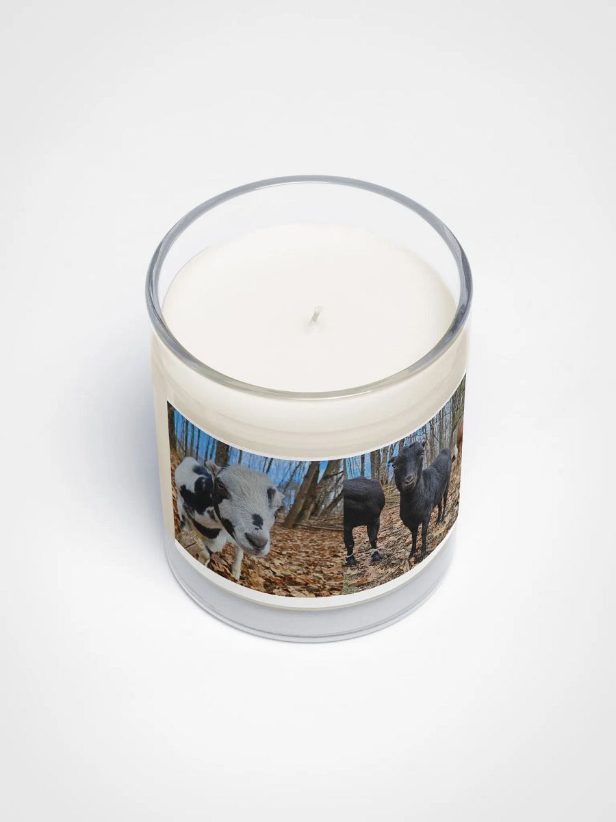 Gadget & Nessie goats candle product image (2)