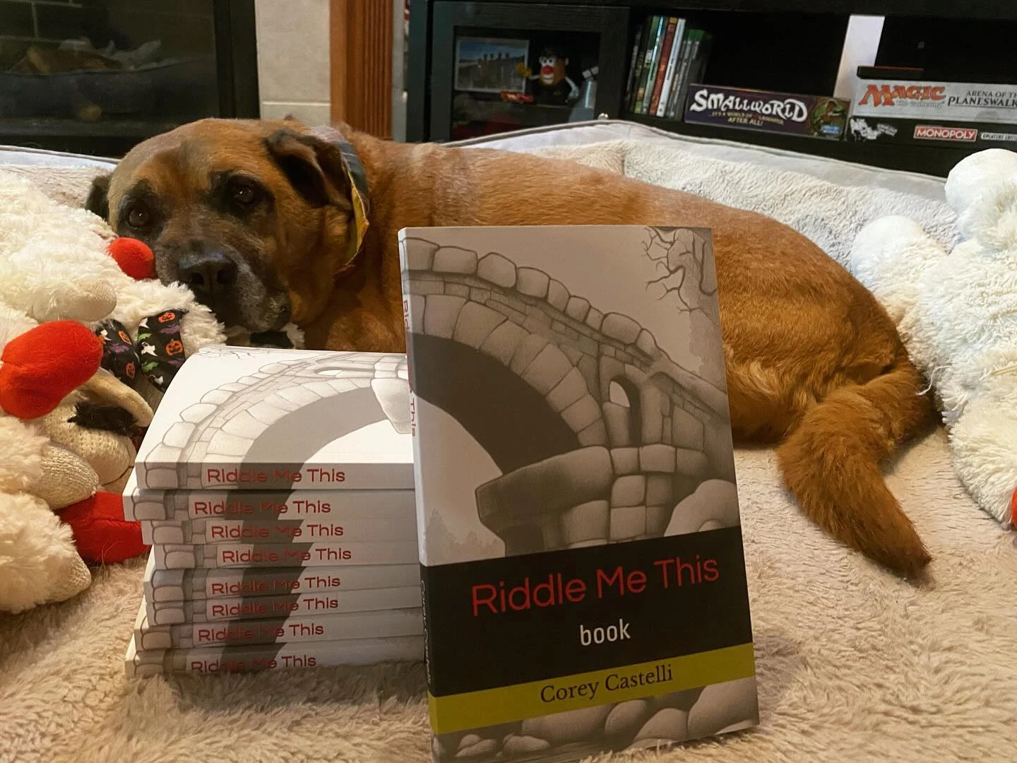 Tucker didn’t seem to care, but you can get a copy of my new book RIDDLE ME THIS: Book for only $9.99 on Amazon! 

https://a....