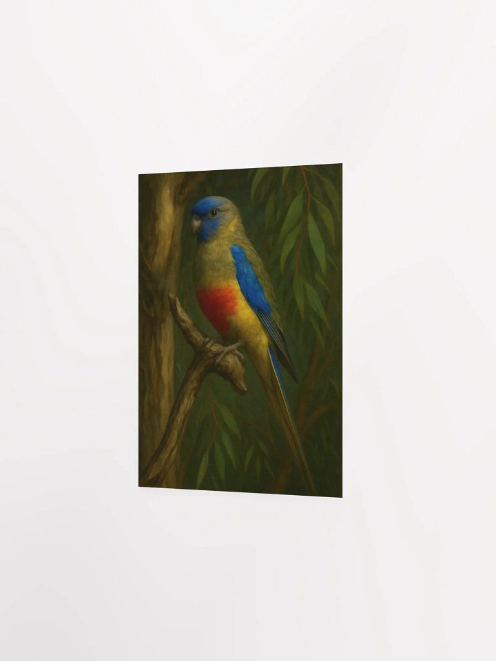 Blue Bonnet Parrot. product image (4)